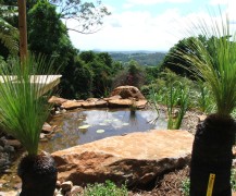 Natural Water Feature