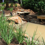 Natural Water Feature 5